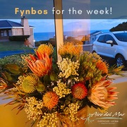 Fresh Fynbos