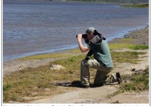 October is Marine Month and Cape fur seals dying of starvation