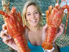 2021/22 West Coast Lobster Season