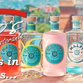 A Malfy, from Amalfi, at Fabio’s. That’s 2 Italians in Hermanus... Fabio’s, open every day from 12:00 - Fabio's Ristorante - Xplorio™ Hermanus