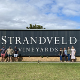 Strandveld Vineyards - Gansbaai Wine Tours - Xplorio™ Gansbaai