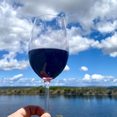Wine Tours - Gansbaai Wine Tours - Xplorio™ Gansbaai