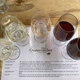 Black Oystercatcher - Gansbaai Wine Tours - Xplorio™ Gansbaai