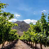 Wine Tours - Gansbaai Wine Tours - Xplorio™ Gansbaai