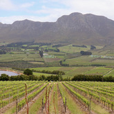 Wine Tours - Gansbaai Wine Tours - Xplorio™ Gansbaai