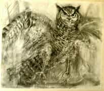 Owl Charcoal Drawing (1m x 1m) Framed