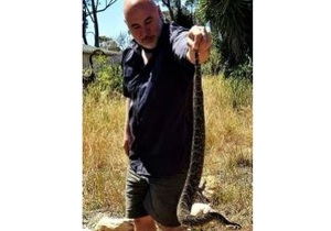 Snake season is upon us in the Overberg
