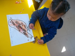 Good Times at Pikkewyntjies