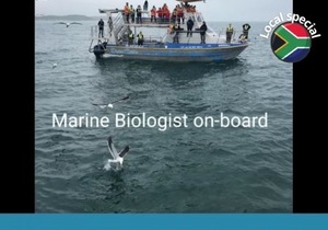 Next Dyer Island Marine Big 5 Tour: 9 November 2021