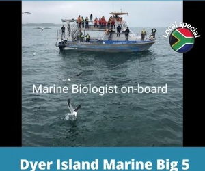 Next Dyer Island Marine Big 5 Tour: 9 November 2021