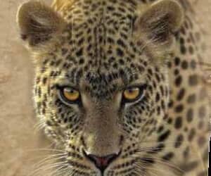 November 2021 Clearance Sale