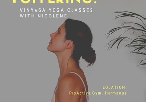 NEW Offering! Vinyasa Yoga Classes with Nicolene