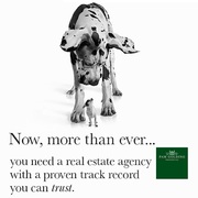Real estate agency with a proven track record you can trust