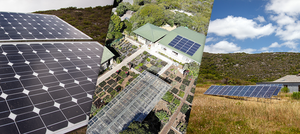 Pioneers of Sustainability: Grootbos is Carbon Negative