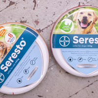 Seresto Collars - The Pet Grocer - Xplorio™ Gansbaai