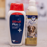 Tick and Flea Shampoo - The Pet Grocer - Xplorio™ Gansbaai