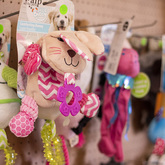 Comfort Toys - The Pet Grocer - Xplorio™ Gansbaai