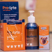 Dog and Cat Electrolite Suppliments - The Pet Grocer - Xplorio™ Gansbaai