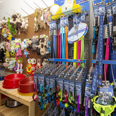 Dog Toys - The Pet Grocer - Xplorio™ Gansbaai