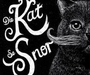 Wine and Co - Pieter Ferreira and Die Kat se Snor...