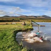 Pret in die dam! - Beloftebos Farm Cottages - Xplorio™ Stanford