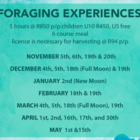 Foraging Experiences - Edible Seaweed & Fynbos Experience - Xplorio™ Pringle Bay Foraging Experiences - Edible Seaweed & Fynbos Experience - Xplorio™ Pringle Bay