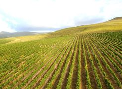 18 Different Soil Types at Lomond