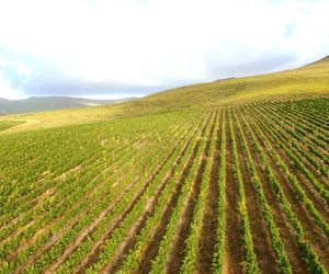18 Different Soil Types at Lomond