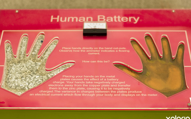 hermanus_special_courses_sansa_human_battery_experiment_1582708113_1636711651