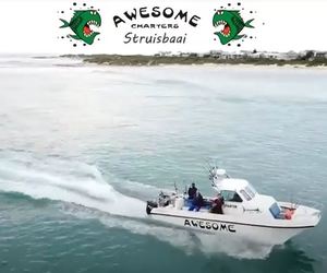 Awesome Charters Offers Boat Angling Trips