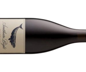 Wine and Co - and THIS is why we're the Coolest Wine Shop...