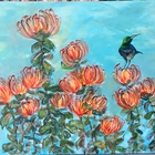 Fynbos Pincushion Medley - Annelene (Lientjie) van der Colff - Xplorio™ Gansbaai