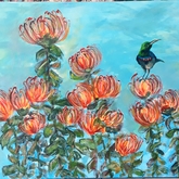 Fynbos Pincushion Medley - Annelene (Lientjie) van der Colff - Xplorio™ Gansbaai