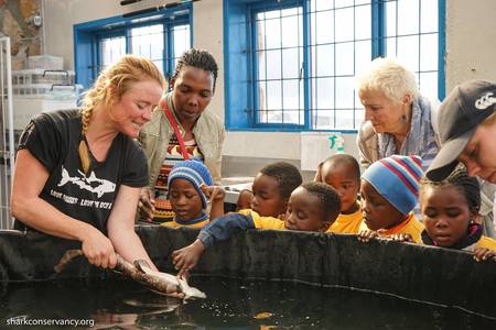 13925996_1177519262269991_3431923411052641988_o_1637581089