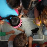 Education - South African Shark Conservancy - Xplorio™ Hermanus