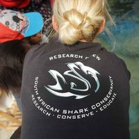 Branding - South African Shark Conservancy - Xplorio™ Hermanus
