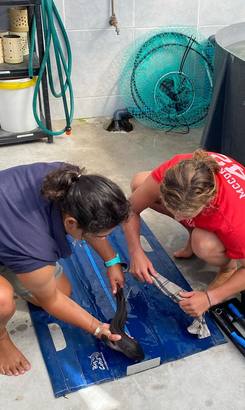 163422118_3959145040774052_3286542667943778558_n_1637581158