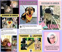 BARC Animal Welfare November 2021 Newsletter