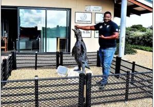 Virus maai steeds onder ons wilde seevoël bevolking