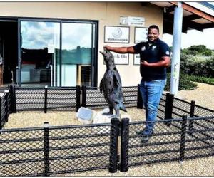 Virus maai steeds onder ons wilde seevoël bevolking