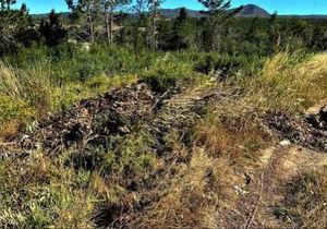 Burgemeester stel mikpunte en prioriteite vir die “eerste 100 dae”