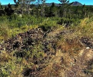 Burgemeester stel mikpunte en prioriteite vir die “eerste 100 dae”