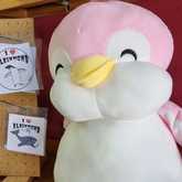 New Items - Lili & Co - Xplorio™ Kleinmond