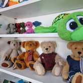 New Items - Lili & Co - Xplorio™ Kleinmond