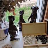 New Items - Lili & Co - Xplorio™ Kleinmond