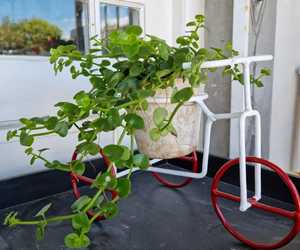 Great Festival Gift Ideas For The Upcoming Season