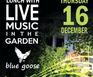 16 December 2021: Lunch with Live Music in the Garden