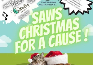 10 December 2021: SAWS Christmas for a cause!