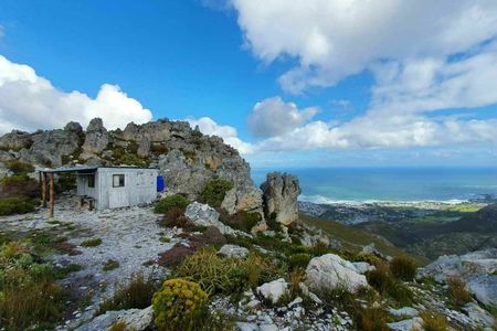 extra_large_e7d5d72d963e33f023d9d627452f96cc_1__1638448696