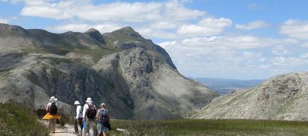 Monitoring_after_fire__1638448753